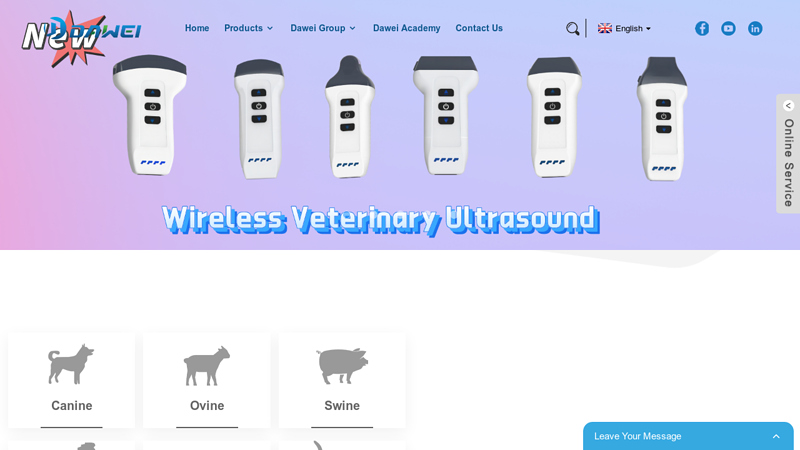 Veterinary Ultrasound Machine,Veterinary Digital Xray Machine, Veterinary Patient Monitor,Veterinary ECG Machine | Dawei Veterinary Medical