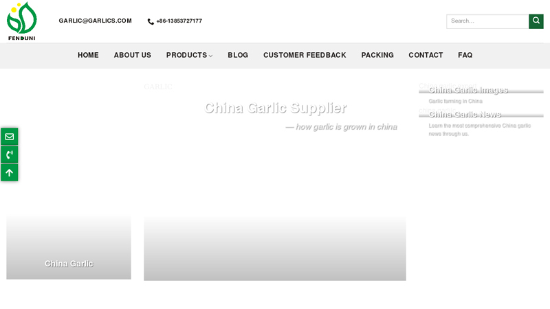 China Fresh Garlic Wholesale | China Garlic Supplier
