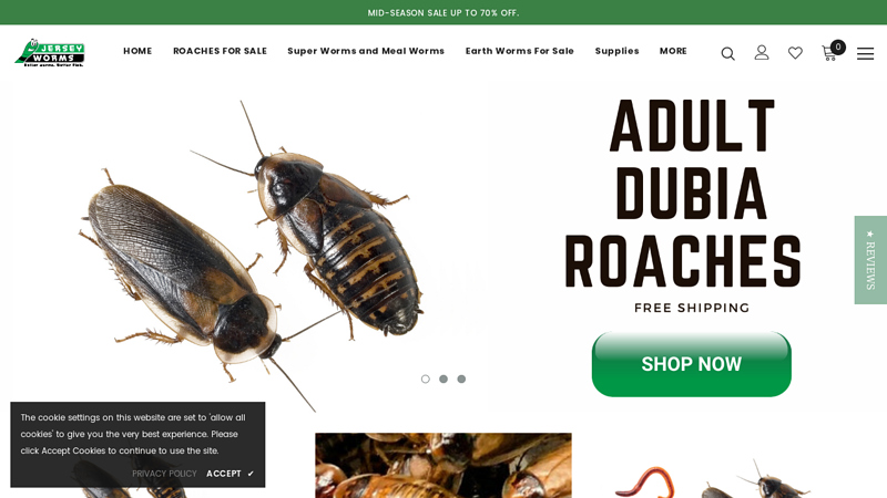 Jersey Worms | Feeder Insects for Reptiles | Red Wigglers for Sale