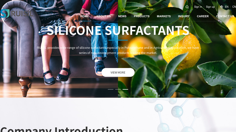Hangzhou Ruijiang Performance Material Science Co.,Ltd Ruisil
