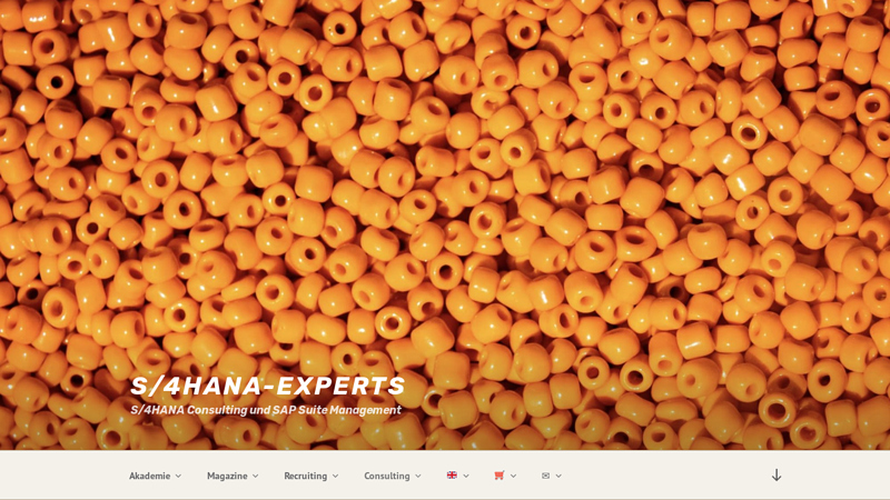 S/4HANA-Experts C S/4HANA Consulting und SAP Suite Management